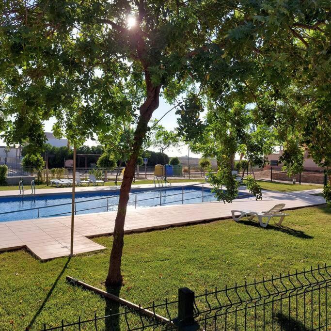 Un Oasis En Hacienda Del Alamo Daire Murcia Dış mekan fotoğraf